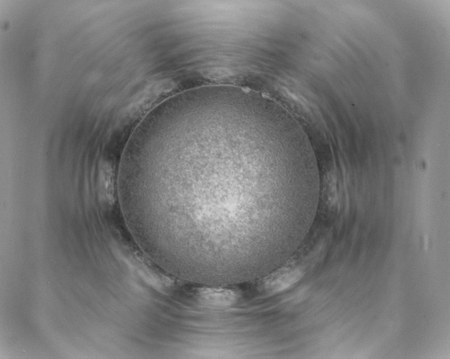 X0000088400234200705221131