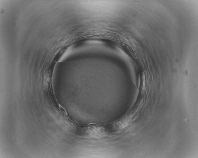 X0000088400235200705221130