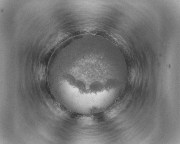 X0000088400236200705221130