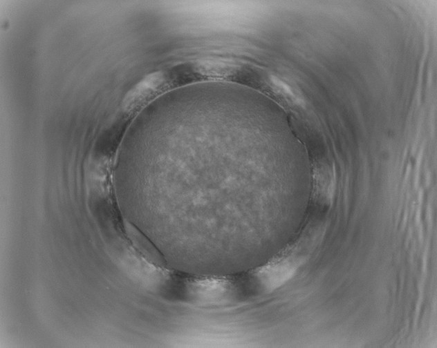 X0000088400237200705221130