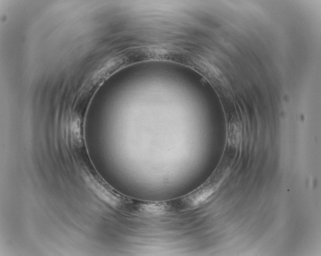 X0000088400238200705221130