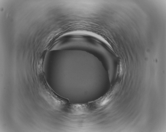 X0000088400239200705221130