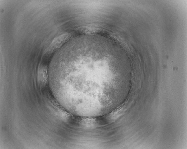 X0000088400240200705221130