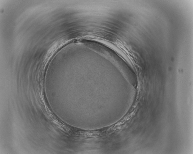 X0000088400241200705221130