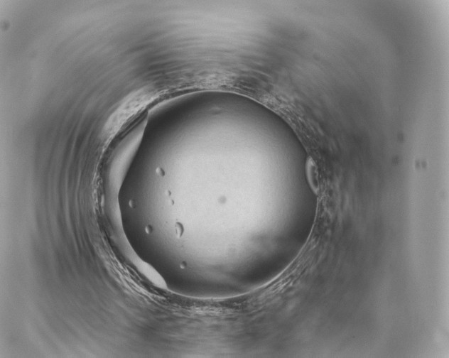 X0000088400242200705221130