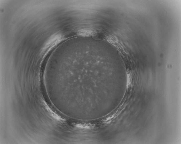 X0000088400243200705221130