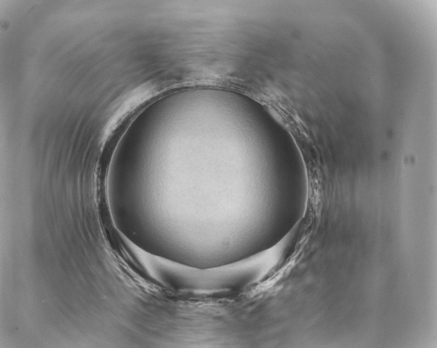 X0000088400244200705221130