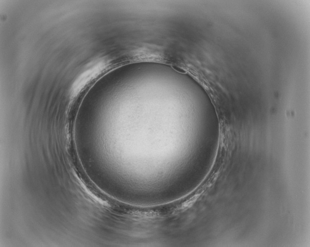 X0000088400245200705221130