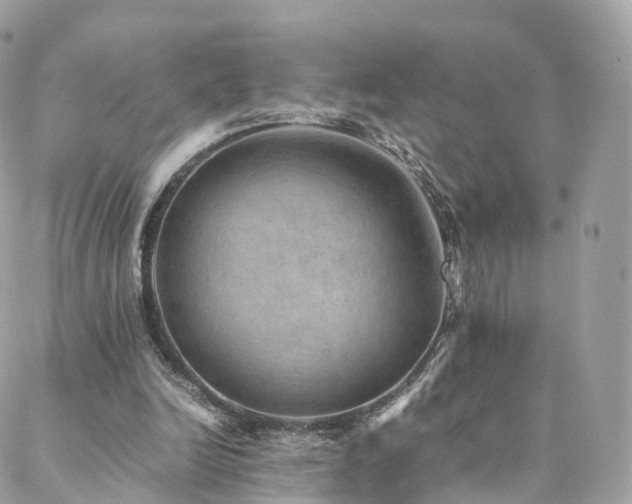 X0000088400246200705221130