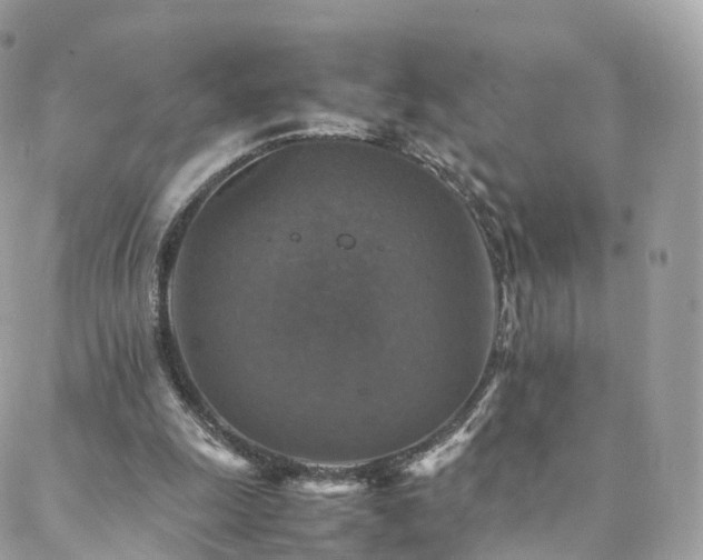 X0000088400247200705221130