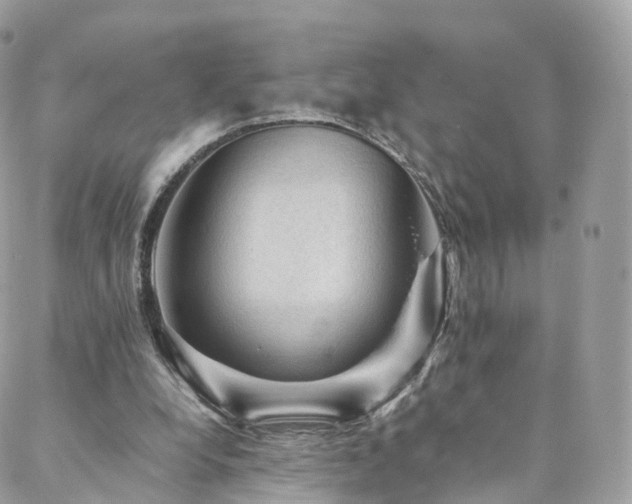 X0000088400248200705221130