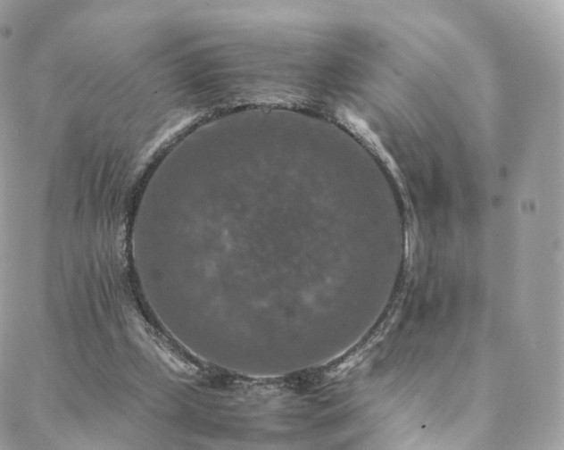 X0000088400249200705221130