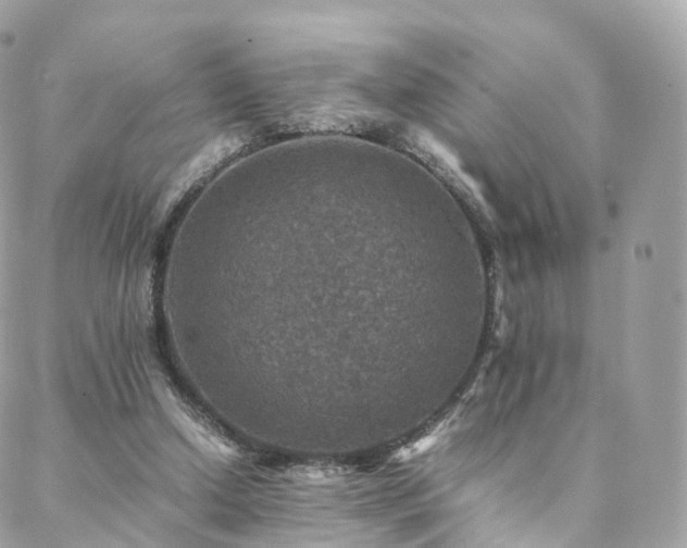 X0000088400250200705221130