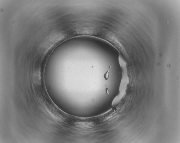 X0000088400251200705221130