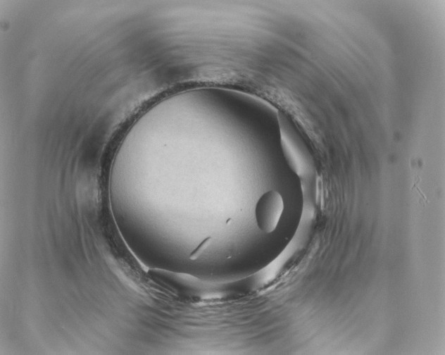 X0000088400252200705221130