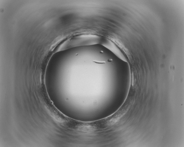 X0000088400253200705221130