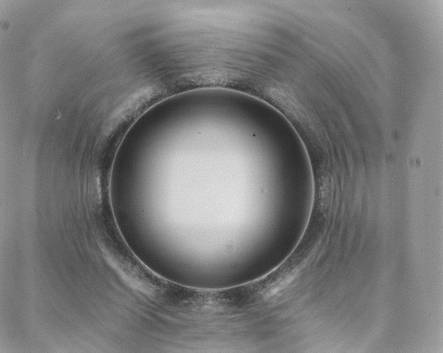 X0000088400254200705221130