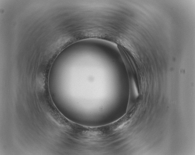 X0000088400255200705221130