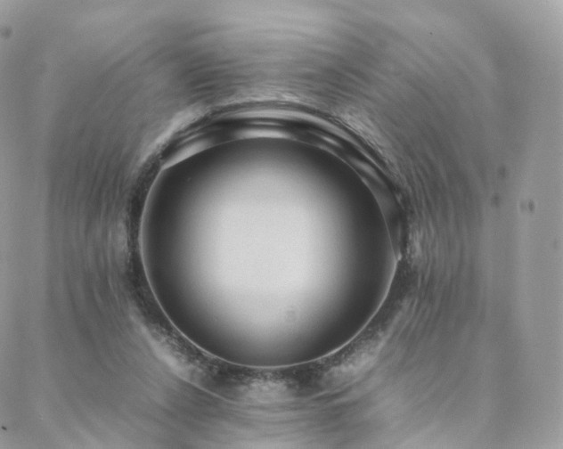 X0000088400256200705221130