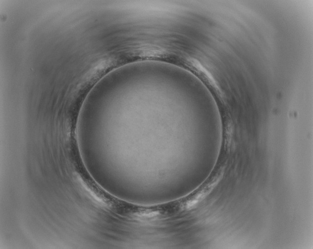 X0000088400257200705221130