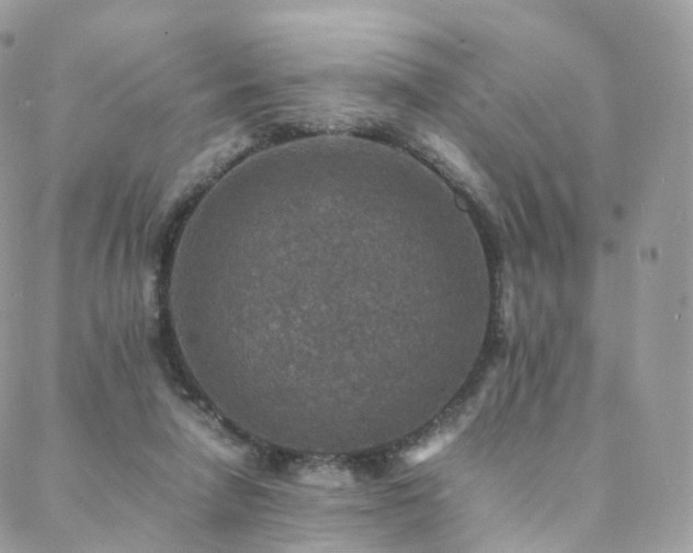 X0000088400258200705221130