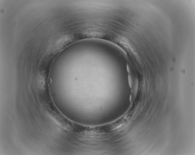 X0000088400259200705221130