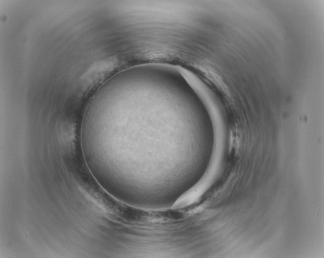 X0000088400260200705221130