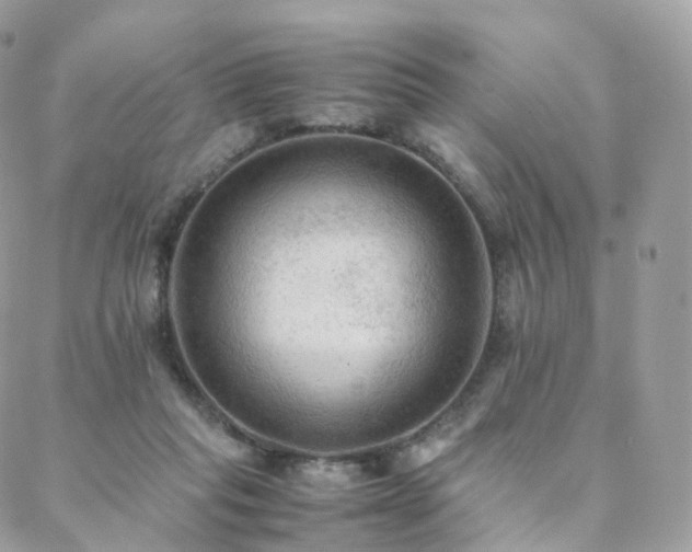 X0000088400261200705221130