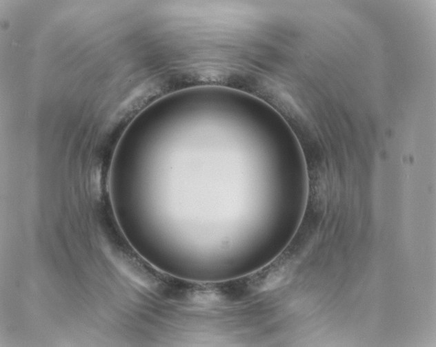 X0000088400262200705221130