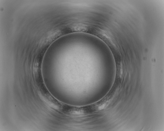 X0000088400263200705221130