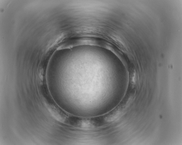 X0000088400264200705221130