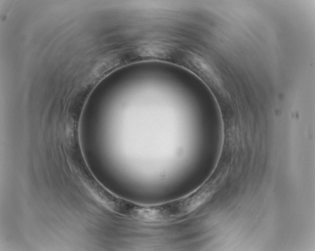 X0000088400265200705221130