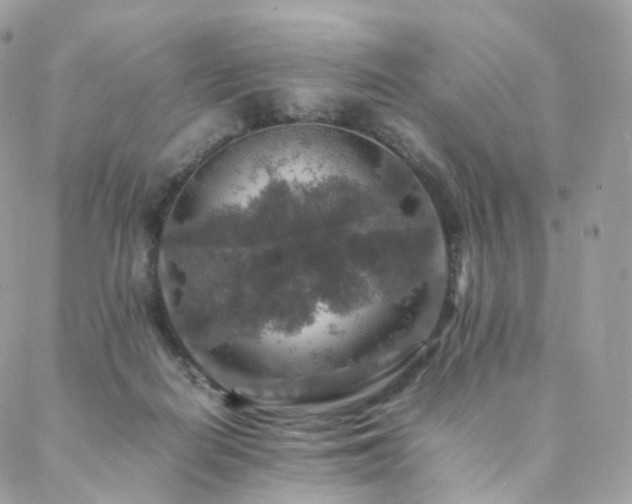 X0000088400266200705221130