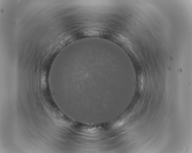 X0000088400267200705221130