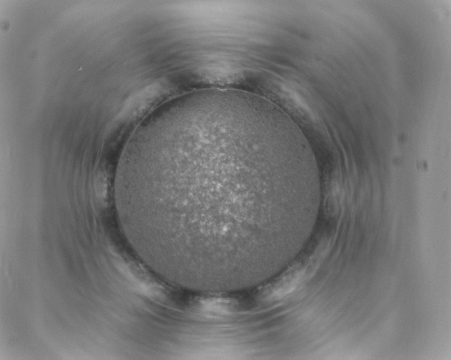 X0000088400268200705221130