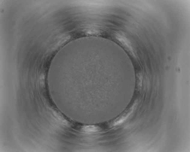 X0000088400269200705221130