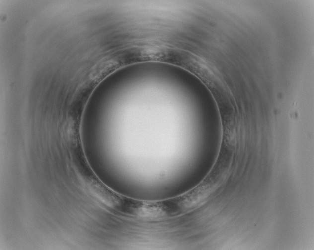 X0000088400270200705221130