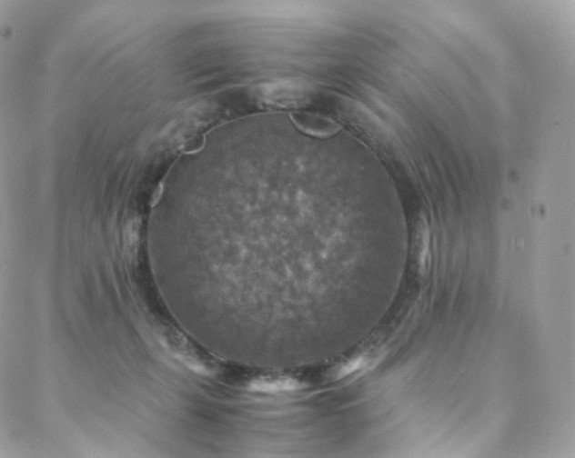 X0000088400271200705221130