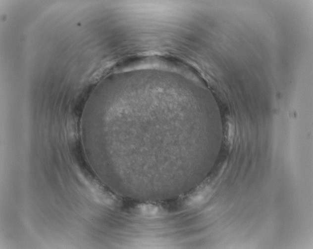 X0000088400272200705221130