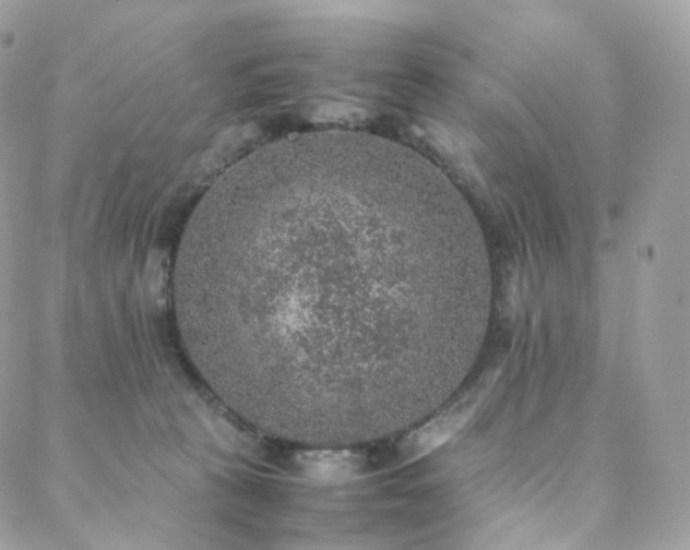 X0000088400273200705221130