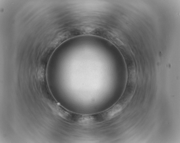 X0000088400274200705221130