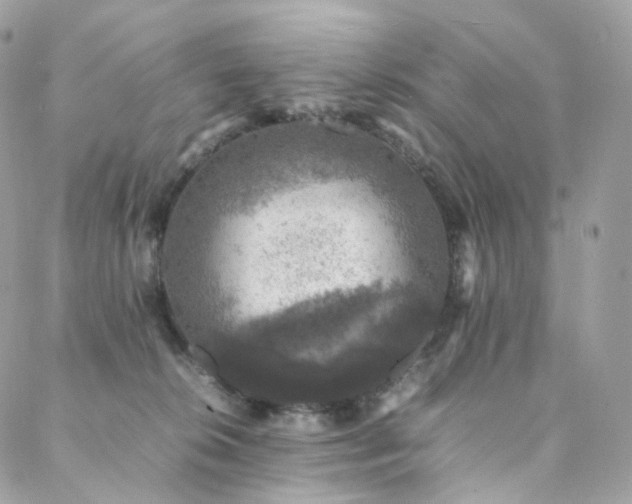 X0000088400276200705221130