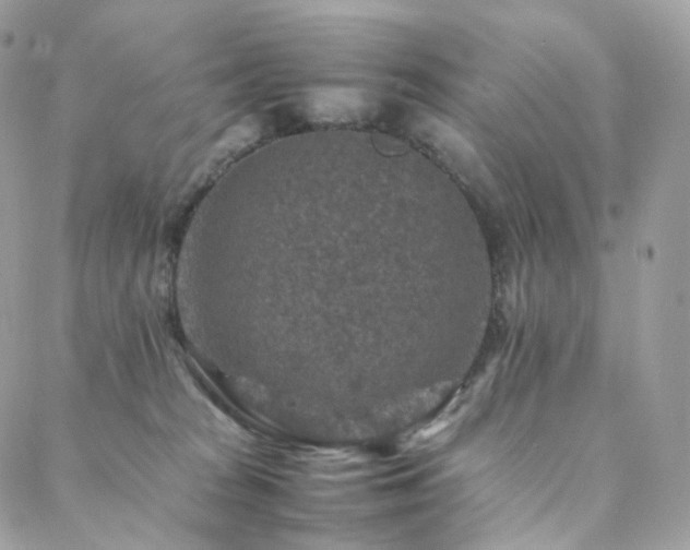 X0000088400277200705221130