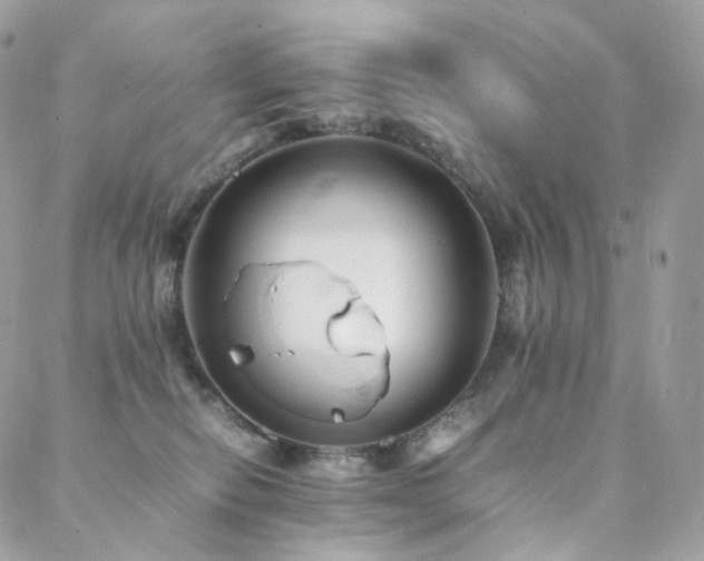 X0000088400278200705221130