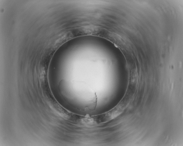 X0000088400279200705221130