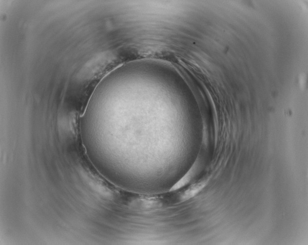 X0000088400280200705221130