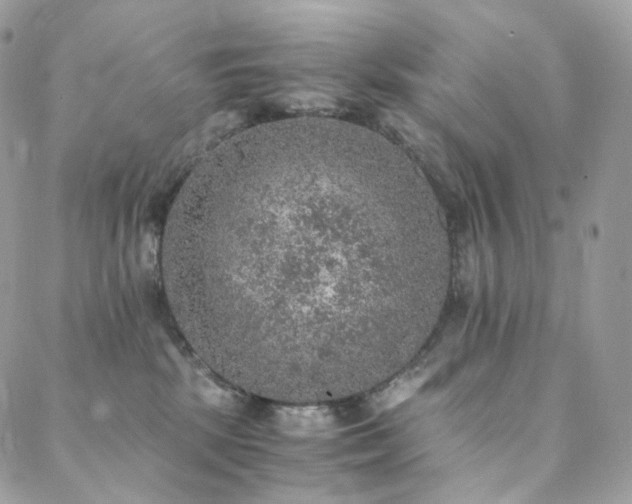 X0000088400281200705221130