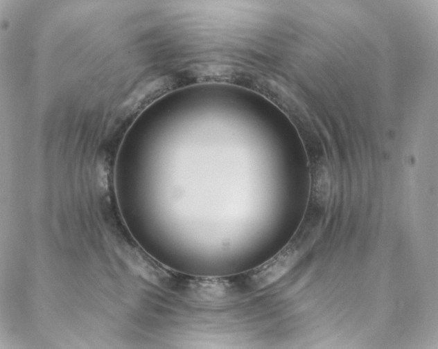 X0000088400282200705221130