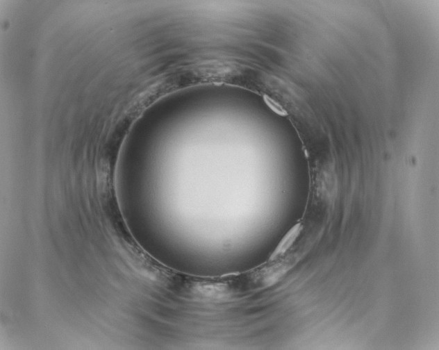 X0000088400283200705221130