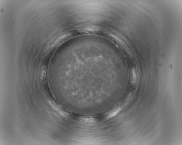 X0000088400284200705221130